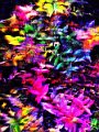 abstrakt (60)